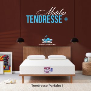 matelas ergonomique tendresse plus 2